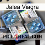 Viagra Jelly viagra5